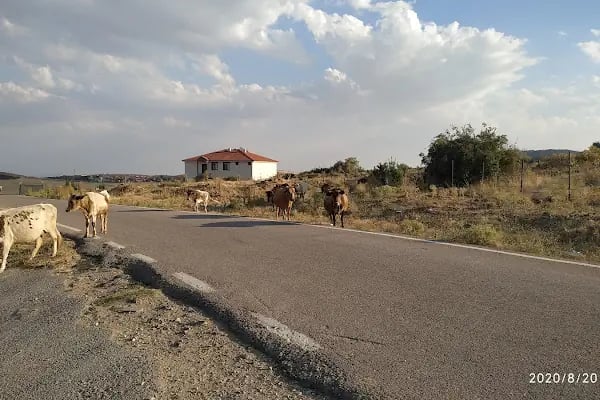 Küçük Bayat Köyü Muhtarlığı - Resim 17