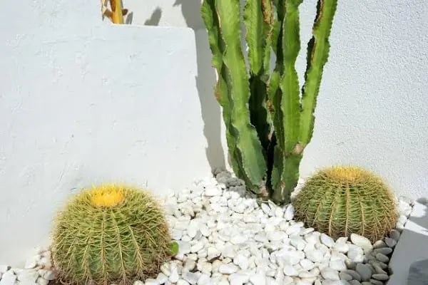 Smart City Bodrum Hotel - Resim 8