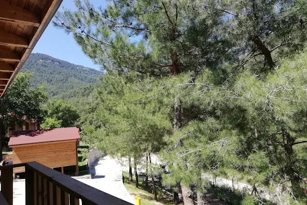 Otantik Club Hotel & Spa - Resim 12