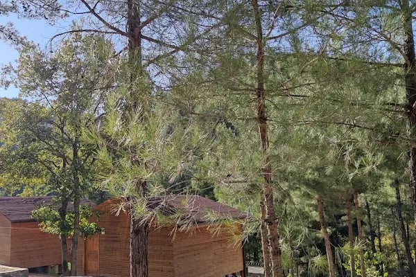 Otantik Club Hotel & Spa - Resim 19