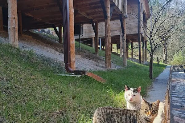 Otantik Club Hotel & Spa - Resim 20