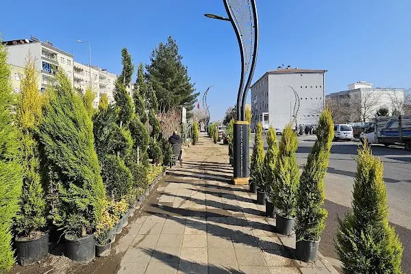 Çermik Tarım ve Fidancılık - Resim 17