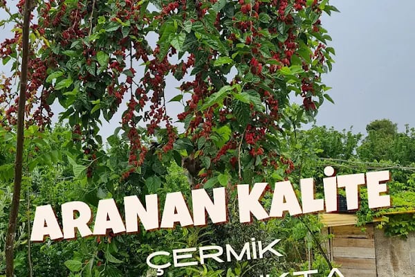 Çermik Tarım ve Fidancılık - Resim 13