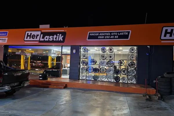 Abaygil Oto Lastik - Resim 9