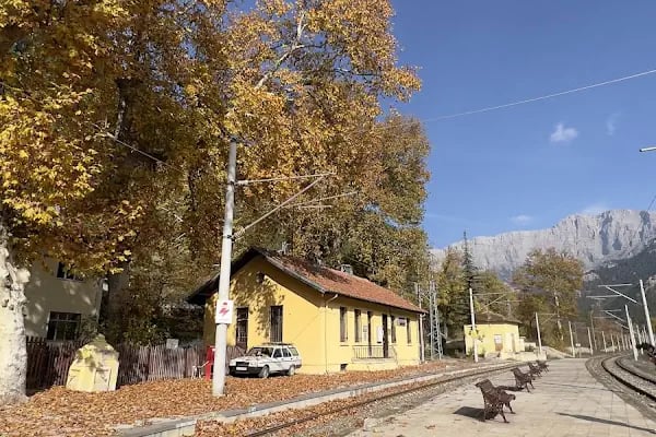 Belemedik Tren İstasyonu - Resim 11