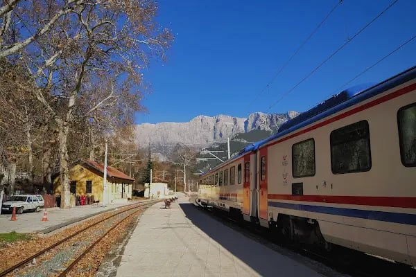 Belemedik Tren İstasyonu - Resim 15