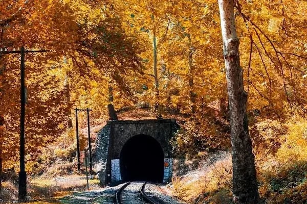 Belemedik Tren İstasyonu - Resim 17