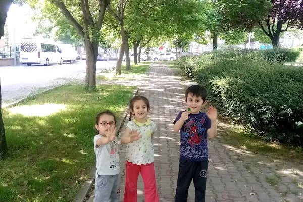 Akpınar Mh. Sedir Parkı - Resim 17