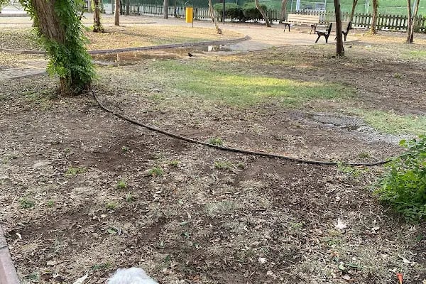 İnge Beyhan Çocuk Ve Dinlenme Parkı - Resim 19