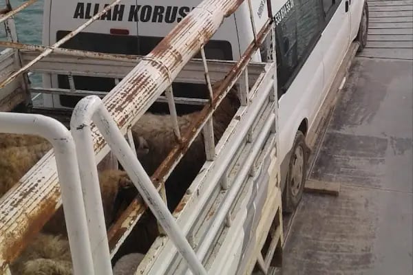 Gözeli Feribot Ramazan - Resim 6