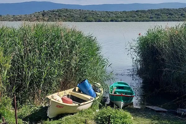 Eskikaraağaç Köyü Yaban Hayatı ve Kuş Müzesi - Resim 20