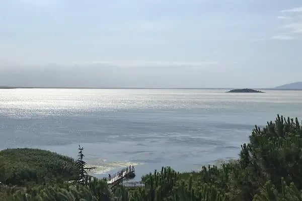 Eskikaraağaç Köyü Yaban Hayatı ve Kuş Müzesi - Resim 14