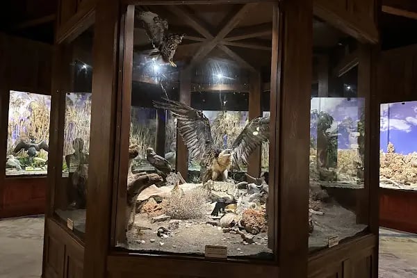 Eskikaraağaç Köyü Yaban Hayatı ve Kuş Müzesi - Resim 6