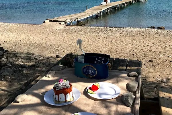 Bona Dia Turgutreis and Bodrum Boat Trips / Tekne Turları - Resim 17