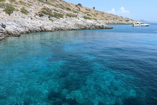 Bona Dia Turgutreis and Bodrum Boat Trips / Tekne Turları - Resim 8