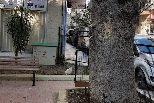 Şeyh Ahmet Dede Türbesi - Resim 15