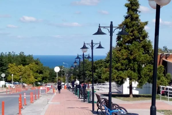 Ondokuz Mayıs Üniversitesi Tıp Fakültesi Şehir Sağlık Merkezi - Resim 5