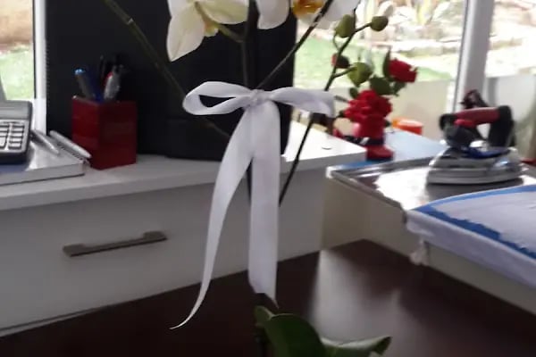 Papatya Ütü Ve Terzi Evi - Resim 16