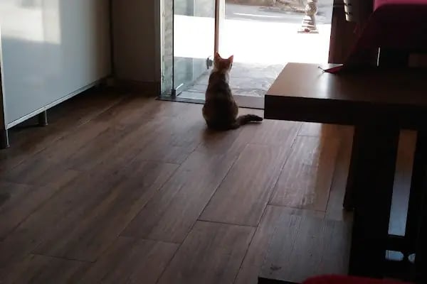 Gemlik Memur ve Memur Emeklileri Derneği Lokali - Resim 1