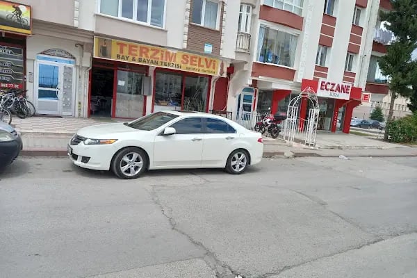 Terzim Selvi - Resim 3