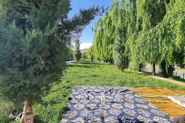 Şanlıurfa Büyükşehir Belediyesi Yüzme Havuzu - Resim 13