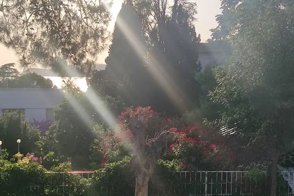 Nizam Butik Otel Büyükada - Resim 19