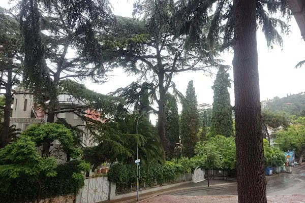 Nizam Butik Otel Büyükada - Resim 11