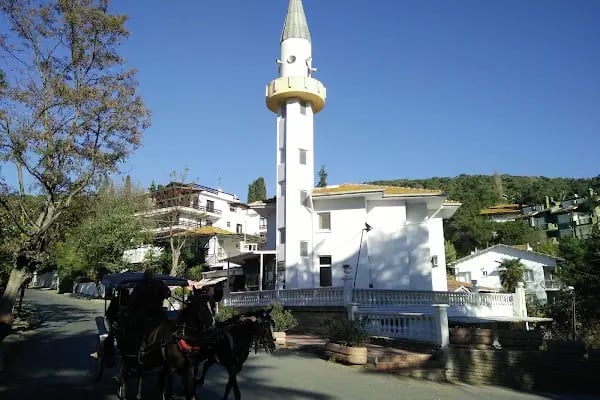 Nizam Butik Otel Büyükada - Resim 15