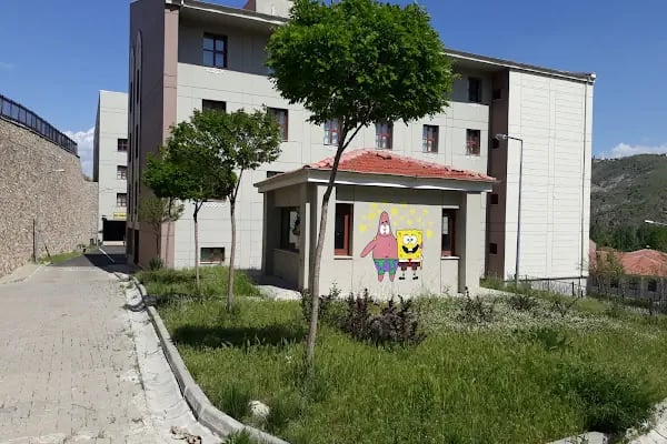 Ankara Kız Anadolu İmam Hatip Lisesi Fen ve Sosyal Bilimler Proje Okulu - Resim 7