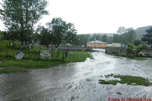 Çamuşlu - Resim 17