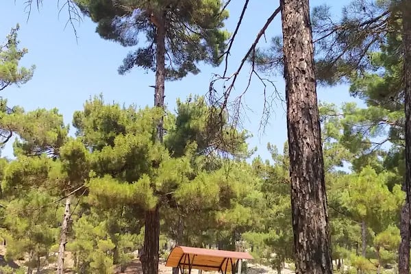 Büyükşehir Belediyesi Aladağ Hizmet Binası - Resim 10
