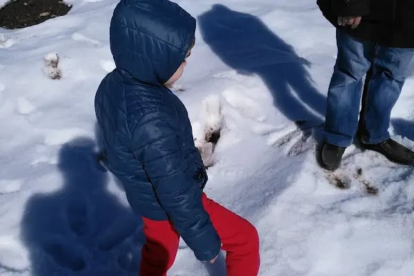 Büyükşehir Belediyesi Aladağ Hizmet Binası - Resim 8