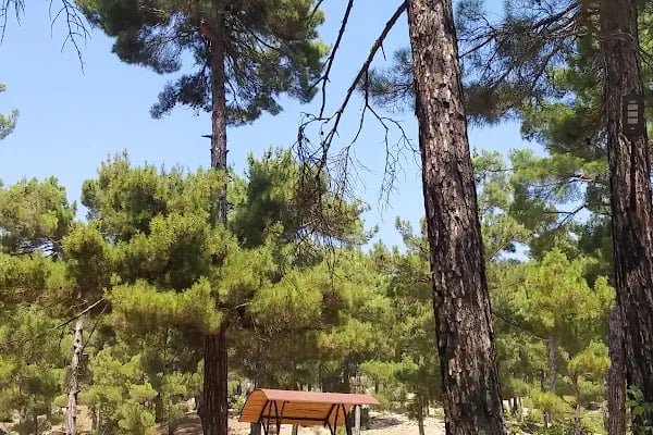 Büyükşehir Belediyesi Aladağ Hizmet Binası - Resim 15