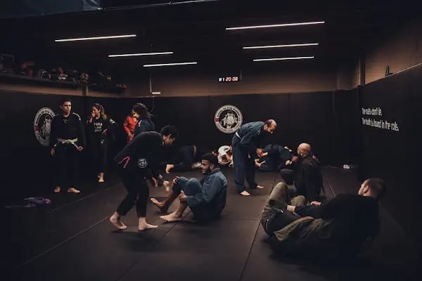 Kimura BJJ Turkey | Ankara BJJ | Ankara MMA - Resim 4