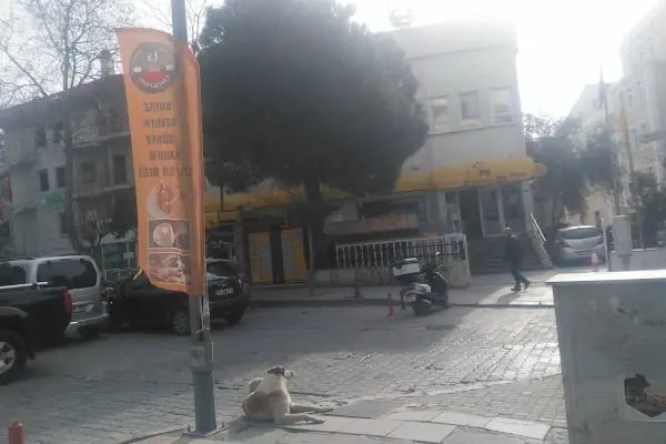 Bornova Ptt Kargo - Resim 5