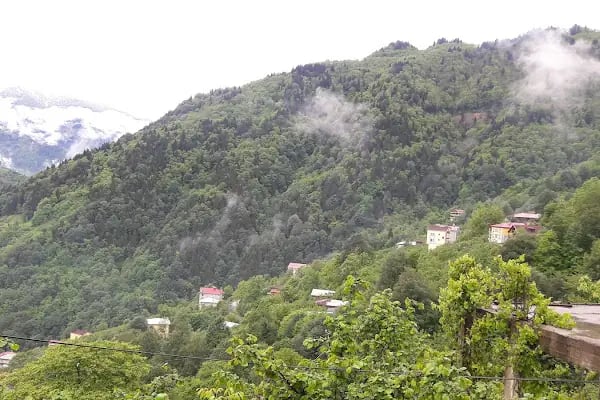 5. Cumhurbaşkanı Cevdet Sunay Müze Evi - Resim 2