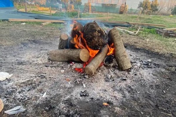 Makara Çadır Camping | Uçmak Dere Kamp Alanı - Resim 9