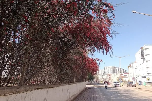 Diyamar Diyaliz Mrk. - Resim 6