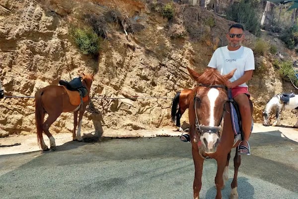 At Çiftliği çelikkiran - Resim 4