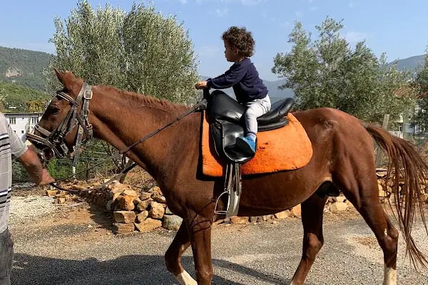 At Çiftliği çelikkiran - Resim 1