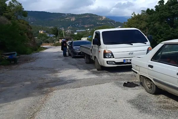 At Çiftliği çelikkiran - Resim 8