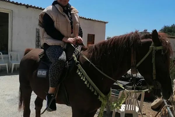 At Çiftliği çelikkiran - Resim 16