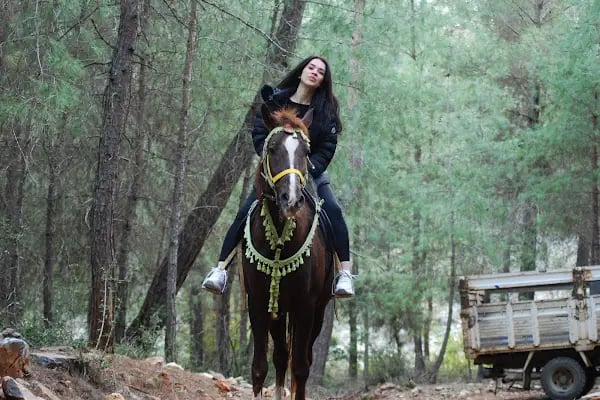 At Çiftliği çelikkiran - Resim 5