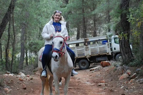 At Çiftliği çelikkiran - Resim 2