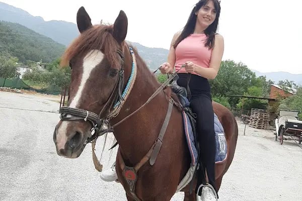 At Çiftliği çelikkiran - Resim 13