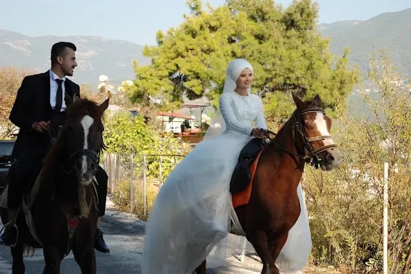 At Çiftliği çelikkiran - Resim 9