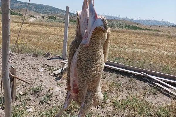 Keleş Çiftliği Keçi Sütü Ve Süt Ürünleri - Resim 10