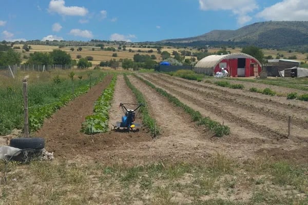 Keleş Çiftliği Keçi Sütü Ve Süt Ürünleri - Resim 13