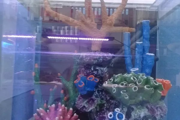 Genç Türk Sağlikli Yaşam ve Spor Merkezi - Resim 18