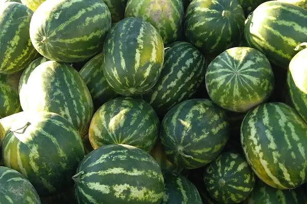 Antalya Büyükşehir Belediyesi Toptancı Hal Kompleksi - Resim 11